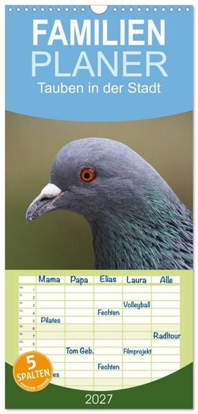 Produktbild: Familienplaner 2027 - Tauben in der Stadt mit 5 Spalten (Wandkalender, 21 x 45 cm) CALVENDO