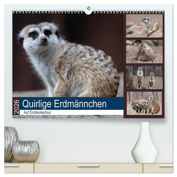 Produktbild: Quirlige Erdm&auml;nnchen (hochwertiger Premium Wandkalender 2026 DIN A2 quer), Kunstdruck in Hochglanz
