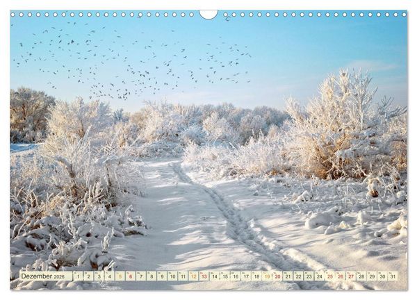 Produktbild: Traumwege entdecken (Wandkalender 2026 DIN A3 quer), CALVENDO Monatskalender
