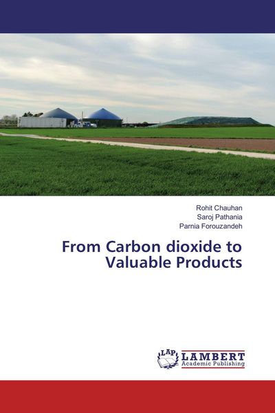 Produktbild: From Carbon dioxide to Valuable Products