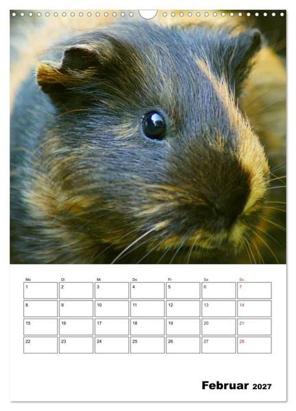 Produktbild: Meerschweinchen Terminplaner (Wandkalender 2027 DIN A3 hoch), CALVENDO Monatskalender