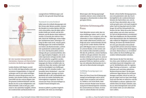 Produktbild: Psoas-Training für Vielsitzer