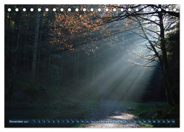 Produktbild: Spaziergang im Wald (Tischkalender 2027 DIN A5 quer), CALVENDO Monatskalender
