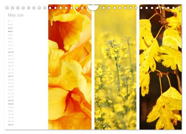 Produktbild: Natural Trios (Wall Calendar 2026 DIN A4 landscape), CALVENDO 12 Month Wall Calendar