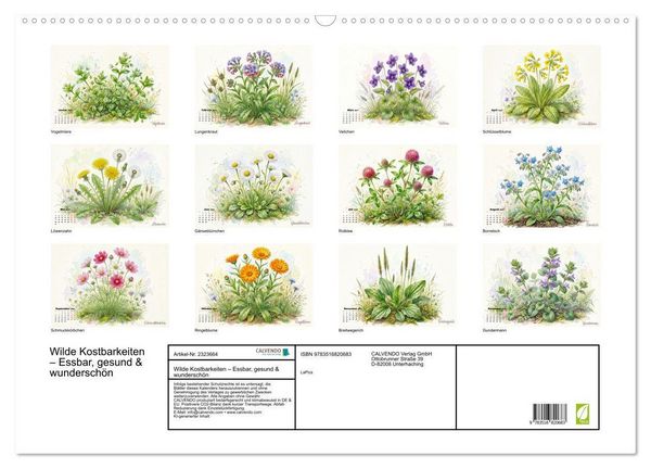 Produktbild: Wilde Kostbarkeiten &ndash; Essbar, gesund & wundersch&ouml;n (Wandkalender 2027 DIN A2 quer), CALVENDO Monatskalender