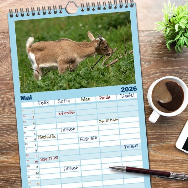 Produktbild: Familienplaner 2026 - Zwergziegen mit 5 Spalten (Wandkalender, 21 x 45 cm) CALVENDO