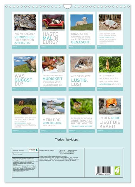 Produktbild: Tierisch bekloppt! (Wandkalender 2026 DIN A3 hoch), CALVENDO Monatskalender