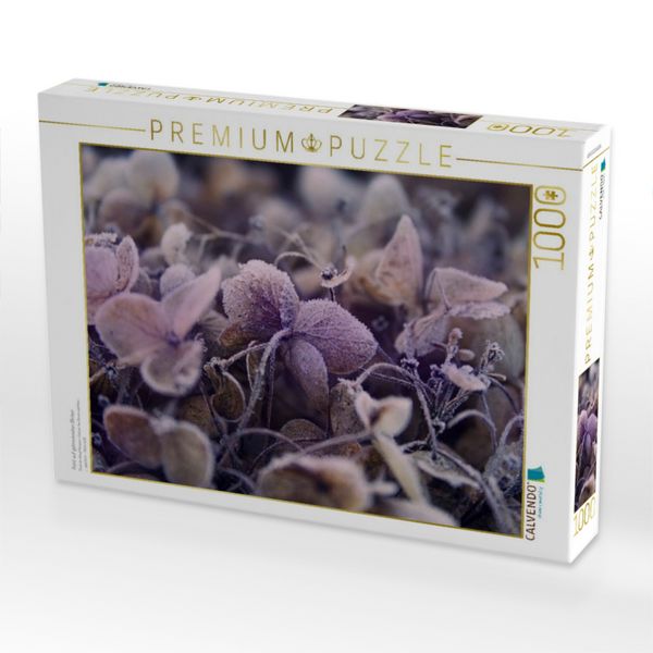 Produktbild: CALVENDO Puzzle Frost auf getrockneten Bl&uuml;ten | 1000 Teile Lege-Gr&ouml;&szlig;e 64x48cm Foto-Puzzle f&uuml;r gl&uuml;ckliche Stunden