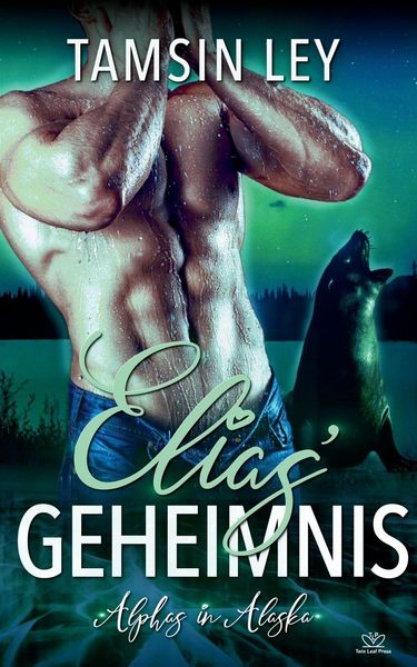 Produktbild: Elias' Geheimnis