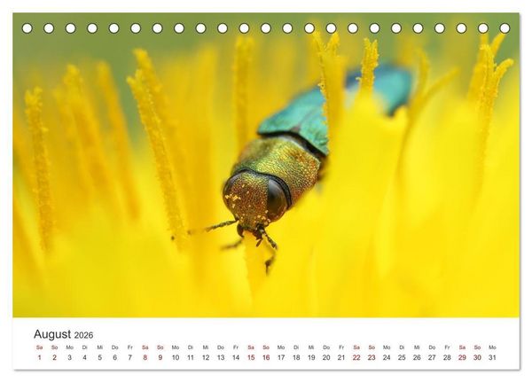 Produktbild: Der etwas andere Blickwinkel (Tischkalender 2026 DIN A5 quer), CALVENDO Monatskalender