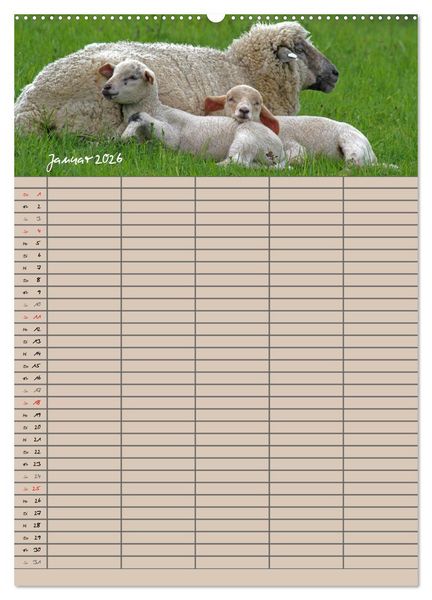 Produktbild: Der bel&auml;mmerte Familienplaner (Wandkalender 2026 DIN A2 hoch), CALVENDO Monatskalender