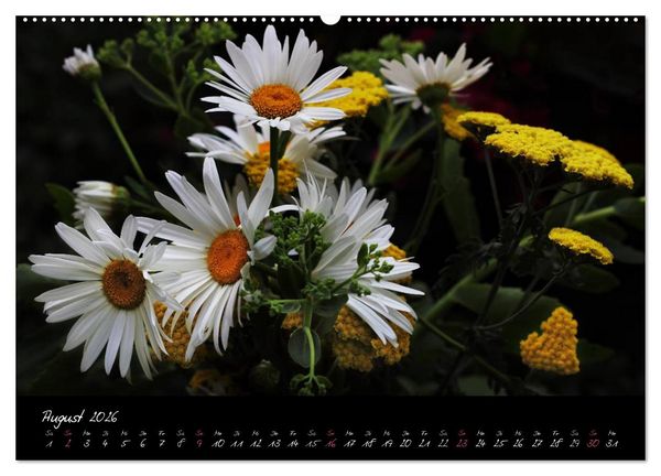 Produktbild: Florales Sonett - Visuelle Musik der Blumen (Wandkalender 2026 DIN A2 quer), CALVENDO Monatskalender