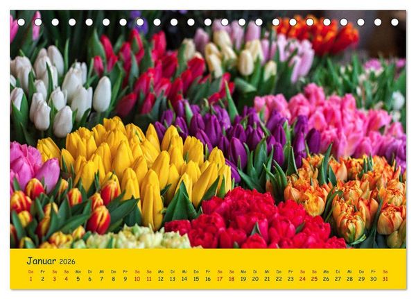 Produktbild: Tulpentraum (Tischkalender 2026 DIN A5 quer), CALVENDO Monatskalender