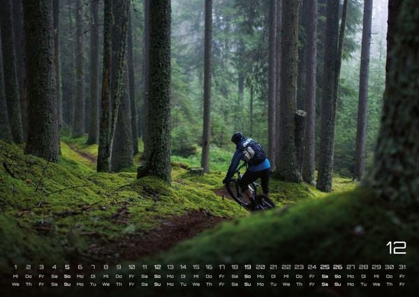Produktbild: MTB | Mountainbike - 2027 - Kalender DIN A2