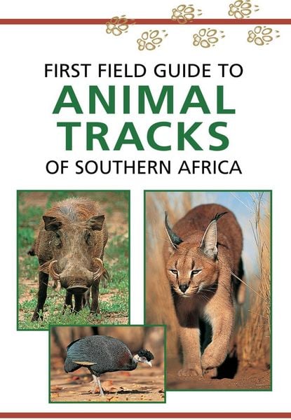 Produktbild: Sasol First Field Guide to Animal Tracks of Southern Africa