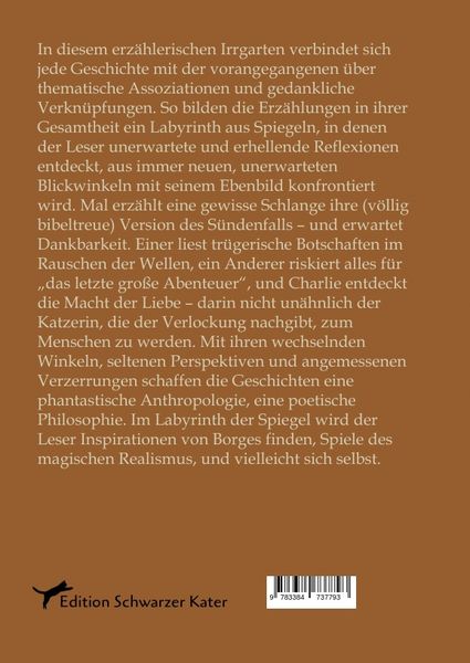 Produktbild: Im Labyrinth der Spiegel