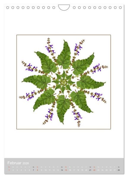Produktbild: Pflanzen - Mandalas aus Bl&uuml;ten und Bl&auml;ttern (Wandkalender 2026 DIN A4 hoch), CALVENDO Monatskalender