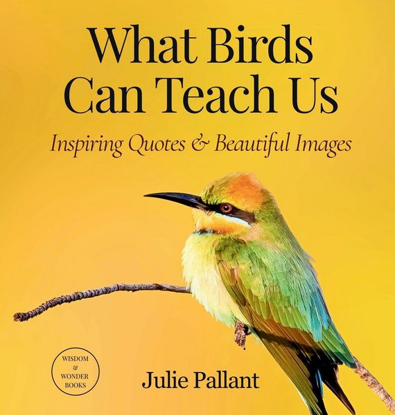 Produktbild: What Birds Can Teach Us