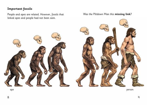 Produktbild: The Case of the Piltdown Man