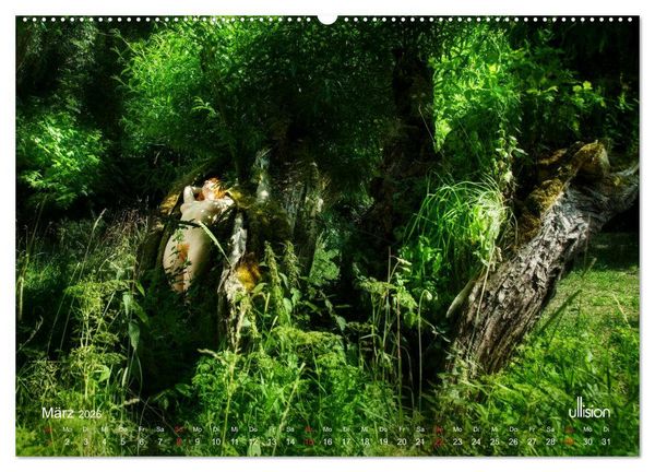 Produktbild: Lieblingsb&auml;ume - eins mit der Natur (hochwertiger Premium Wandkalender 2026 DIN A2 quer), Kunstdruck in Hochglanz