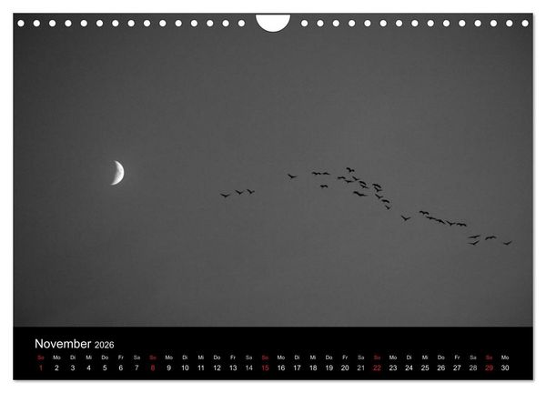 Produktbild: BLACK 'N WHITE (Wandkalender 2026 DIN A4 quer), CALVENDO Monatskalender