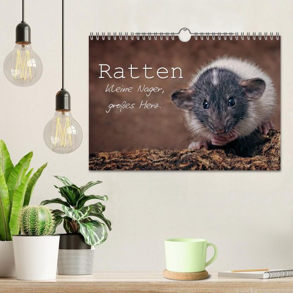 Produktbild: Ratten. Kleine Nager, gro&szlig;es Herz. (Wandkalender 2026 DIN A4 quer), CALVENDO Monatskalender