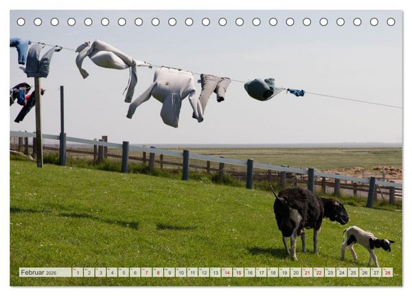 Produktbild: Wundersch&ouml;ne Hallig Hooge (Tischkalender 2026 DIN A5 quer), CALVENDO Monatskalender