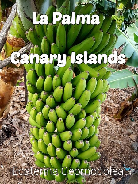 Produktbild: La Palma, Canary Islands