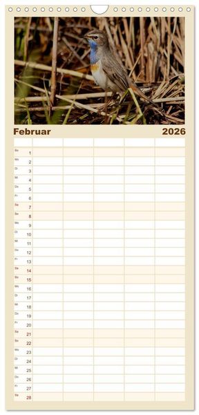 Produktbild: Familienplaner 2026 - V&ouml;gel ganz nah mit 5 Spalten (Wandkalender, 21 x 45 cm) CALVENDO