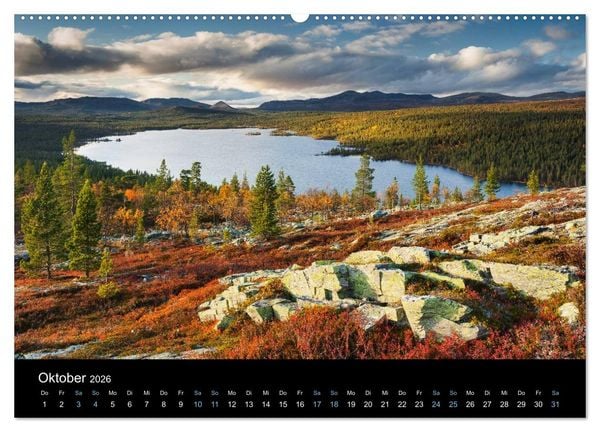 Produktbild: Wildes Europa 2026 (Wandkalender 2026 DIN A2 quer), CALVENDO Monatskalender