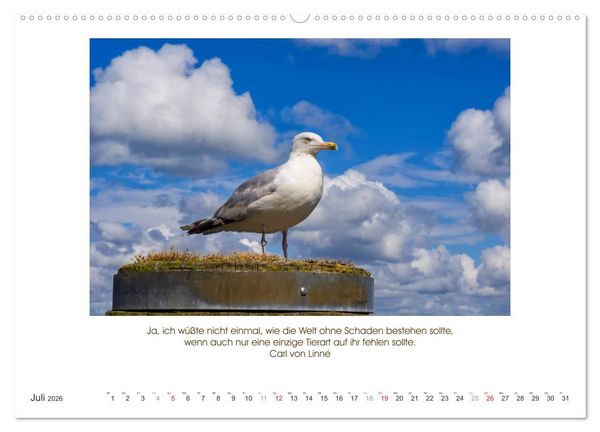 Produktbild: Der Tierkalender mit Zitaten, Weisheiten und Spr&uuml;chen (Wandkalender 2026 DIN A2 quer), CALVENDO Monatskalender