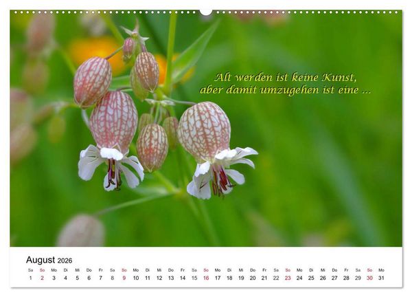 Produktbild: Lebensweisheiten 2026 (Wandkalender 2026 DIN A2 quer), CALVENDO Monatskalender