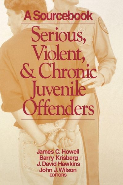 Produktbild: Serious, Violent, and Chronic Juvenile Offenders