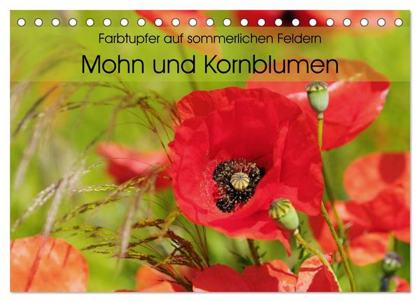 Produktbild: Farbtupfer auf sommerlichen Feldern - Mohn und Kornblumen (Tischkalender 2026 DIN A5 quer), CALVENDO Monatskalender