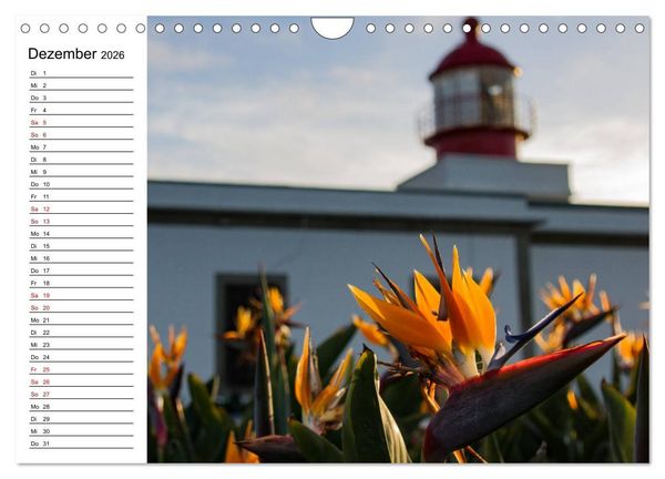 Produktbild: Strelitzien - die Paradiesv&ouml;gel unter den Blumen (Wandkalender 2026 DIN A4 quer), CALVENDO Monatskalender