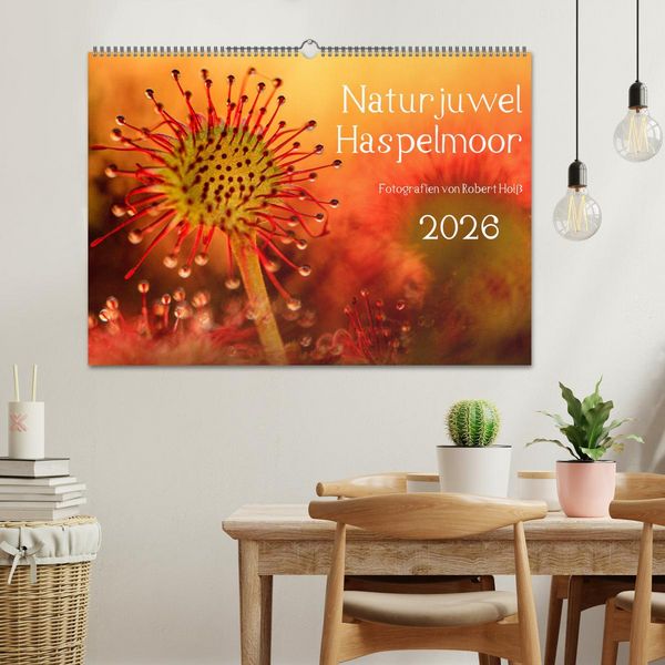 Produktbild: Naturjuwel Haspelmoor (Wandkalender 2026 DIN A2 quer), CALVENDO Monatskalender