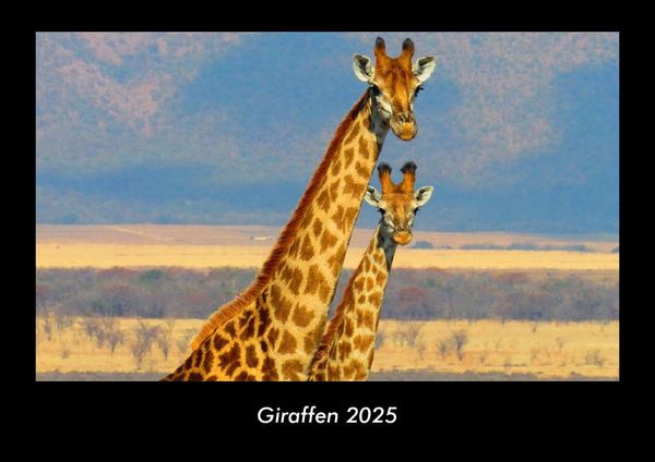 Produktbild: Giraffen 2025 Fotokalender DIN A3