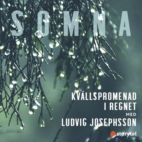 Kvällspromenad i regnet - Helena Kubicek Boye, Audio, 9789179097974