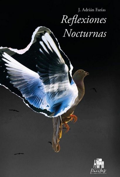 Produktbild: Reflexiones nocturnas