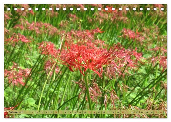 Produktbild: Die Natur Japans (Tischkalender 2027 DIN A5 quer), CALVENDO Monatskalender
