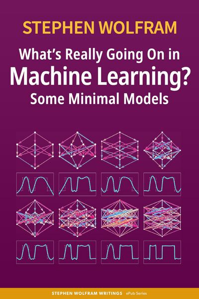 Produktbild: What's Really Going On in Machine Learning? Some Minimal Models