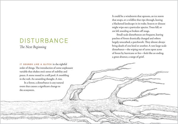 Produktbild: A Forest Language