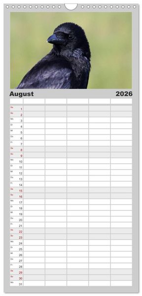 Produktbild: Familienplaner 2026 - Rabenschwarze Impressionen - meike-ajo-dettlaff.de via wildvogelhlfe.org mit 5 Spalten (Wandkalender, 21 x 45 cm) CALVENDO
