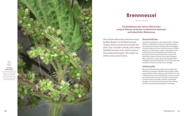 Produktbild: Wie Wildkr&auml;uter wirken