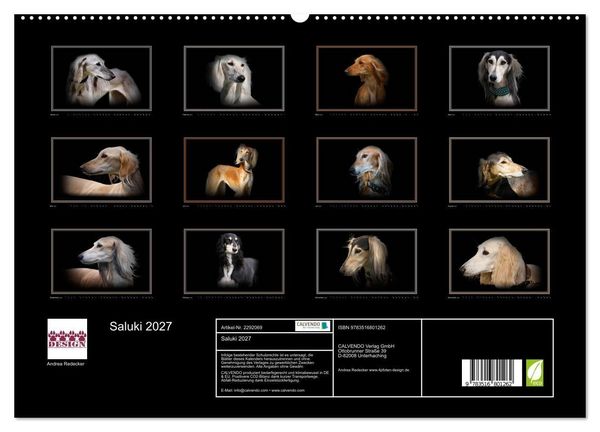 Produktbild: Saluki 2027 (hochwertiger Premium Wandkalender 2027 DIN A2 quer), Kunstdruck in Hochglanz