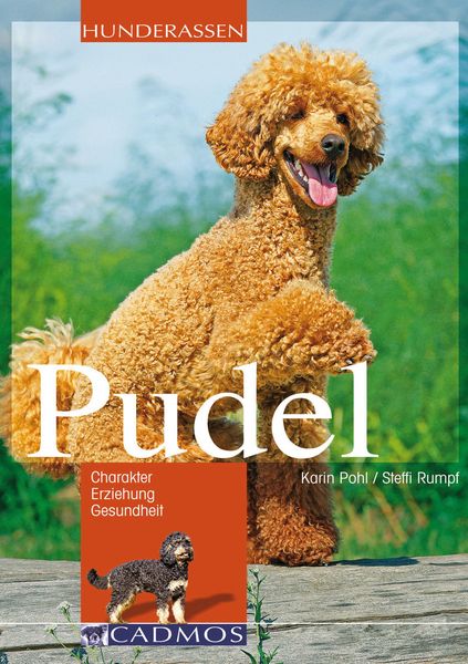 Produktbild: Pudel