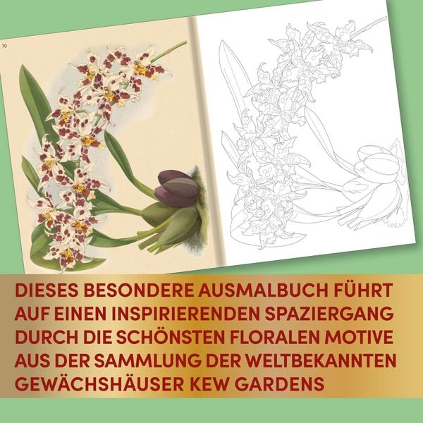 Produktbild: Kew Gardens - Florale Ausmaltr&auml;ume