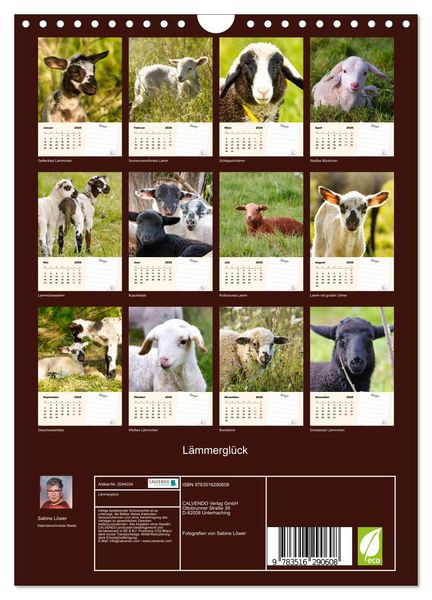 Produktbild: L&auml;mmergl&uuml;ck (Wandkalender 2026 DIN A4 hoch), CALVENDO Monatskalender