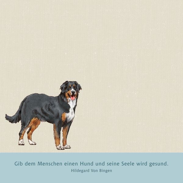 Produktbild: Zettelk&auml;stchen &ndash; I love dogs