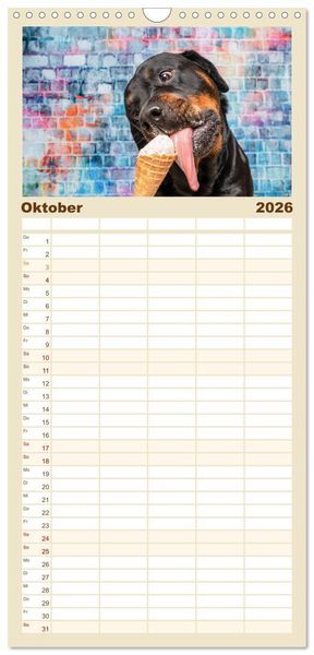Produktbild: Familienplaner 2026 - Cool Dogs - Hunde-Spa&szlig; im Studio mit 5 Spalten (Wandkalender, 21 x 45 cm) CALVENDO